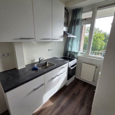 20250827_101936 (Klein)