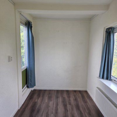 20250827_110444 (Klein)